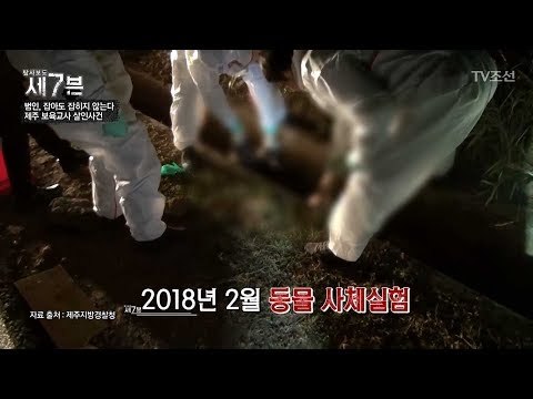 동물 사체실험을 통한 보육교사의 죽음에 대한 진실! [탐사보도 세븐 40회] 20180523