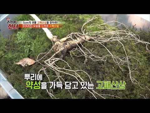 드디어 완전한 모습을 드러낸 고패산삼! [뉴 코리아 헌터] 102회 20180514