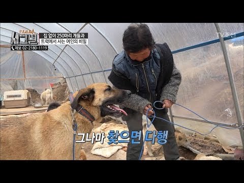 수 백마리 중 한 마리만 안보여도 금방 알 수 있다?! [시그널] 25회 20180518