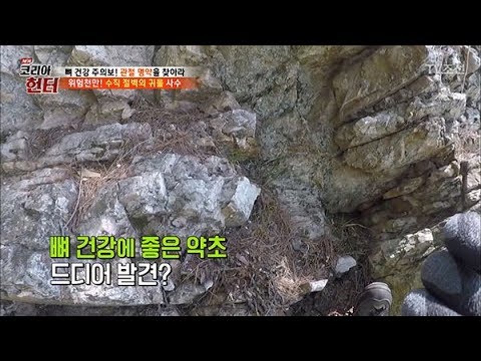 [위험 주의] 수직 절벽에서 헌터가 사수한 귀물의 정체는? [뉴 코리아 헌터] 104...