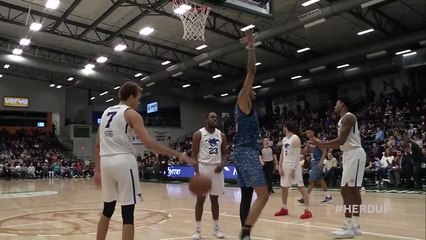 Christian Wood (39 points) Highlights vs. Delaware Blue Coats