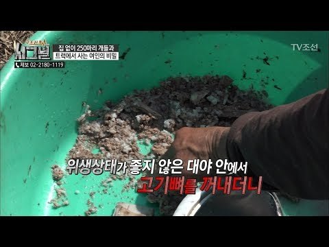 개들이 먹고 난 찌꺼기로 끼니를 때운다?! [시그널] 25회 20180518