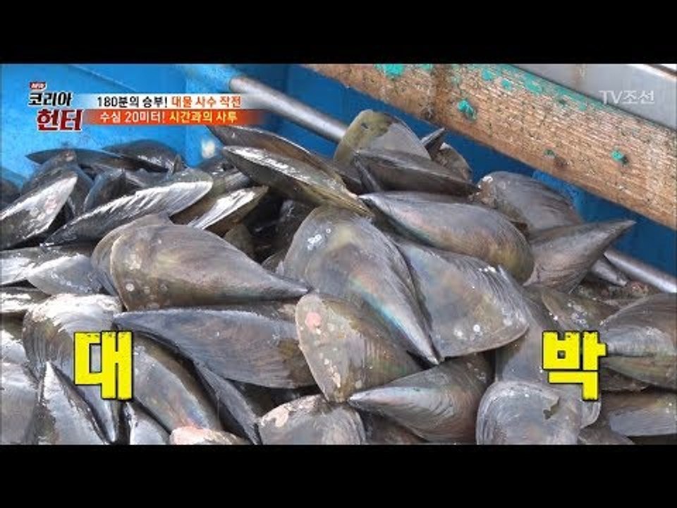 캄캄한 수심 20m! 펄 속의 보물을 찾아라?! [뉴 코리아 헌터] 105회 2018...