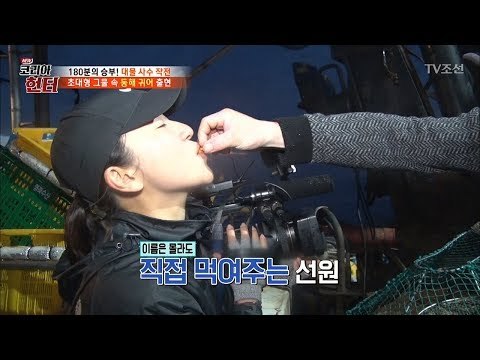 이름은 몰라도 '귀한 것'이니 먹고 보자! 생물체의 정체는?! [뉴 코리아 헌터] 105회 20180604