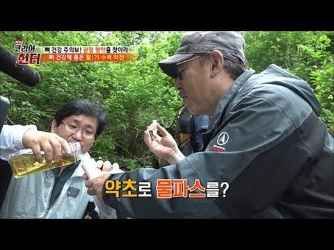 뿌리기만해도 통증이 사라진다?! 귀한 약초 ‘강활’의 정체! [뉴 코리아 헌터] 104회 20180528