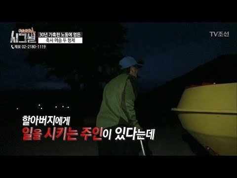 일을 시키는 주인이 있다!? 새벽부터 일을 시작하는 할아버지 [시그널] 28회 20180608