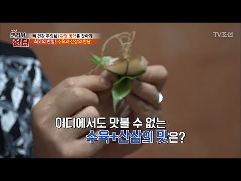 수육을 산삼에 싸먹는 사람들! 산삼이 얼마나 많기에?! [뉴 코리아 헌터] 104회 20180528