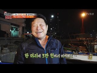 미끼 하나에 3만원?! 돗돔의 미끼! ‘바닷장어’ [뉴 코리아 헌터] 106회 20180611
