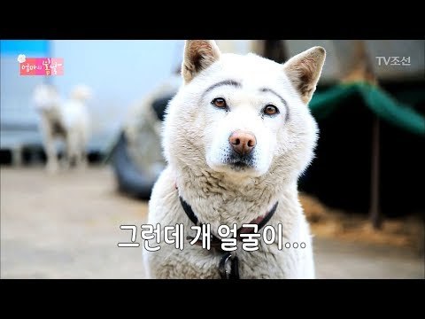 시골 할아버지에게 개를 맡기면 일어나는 일 [엄마의 봄날] 133회 20180401