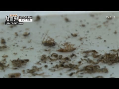 싱크대에 발견된 바퀴벌레 사체들...그 원인은 [시그널] 29회 20180615