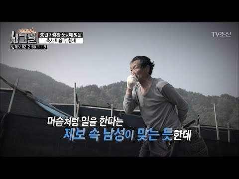 남의 집에서 일 하고 돈을 못 받는다?! 머슴처럼 일하는 남성! [시그널] 28회 20180608