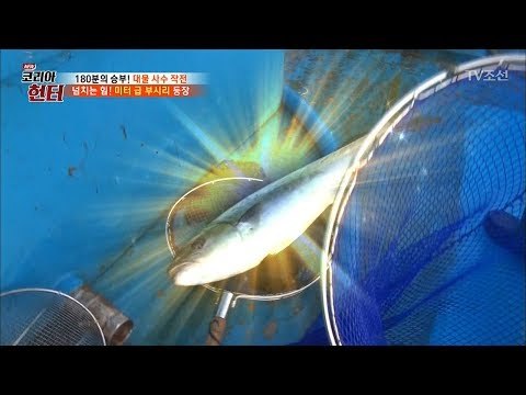 엄청난 존재감 뿜뿜! 초대형 '동해 귀어' 등장?! [뉴 코리아 헌터] 105회 20180604