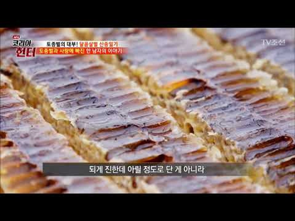 이 꿀 실화냐? 단맛에 취해 쓰러진 제작진?! [뉴 코리아 헌터] 107회 20180618
