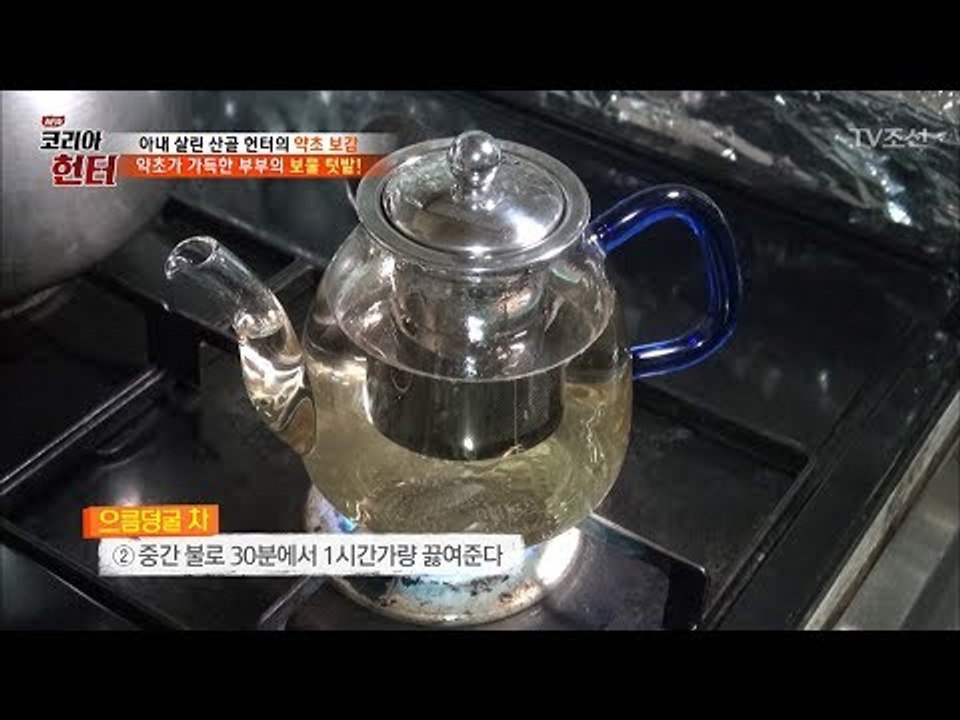 약초가 가득한 보물 텃밭! ‘으름덩굴’의 음용법은? [뉴 코리아 헌터] 108회 20...