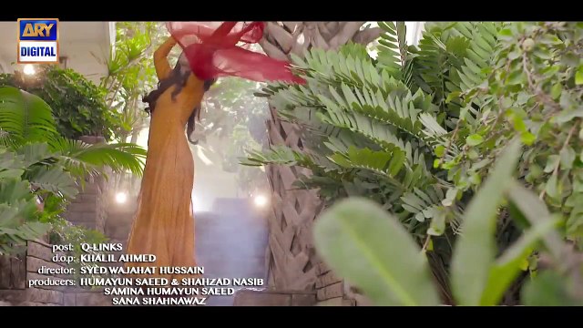 Do Bol Official OST _ Nabeel Shaukat & Aima Baig _ ARY Digital