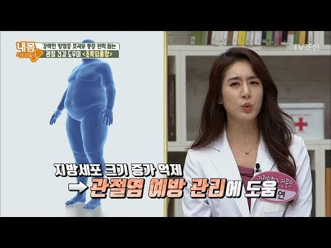 관절 통증을 예방해주는 초록입홍합! [내 몸 사용설명서] 211회 20180707