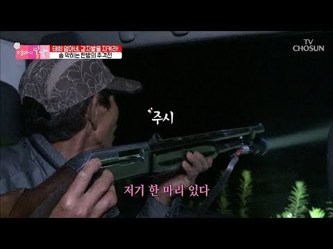감자밭을 지켜라! 멧돼지와 숨 막히는 추격전 [엄마의 봄날] 152회 20180812