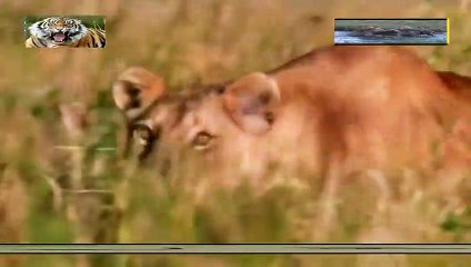 전주출장안마 -여대생！Ø1Øb2997b5327【문의톡DDR88】전주전지역출장마사지전주출장안마'전주출장마사지황형'출장안마'эюя출장오피출장오피