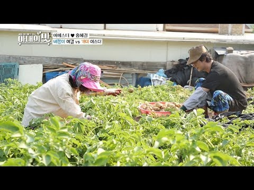 감자 캘 때 노룩패스는 기본?! 에스더의 새로운 재능~ [아내의 맛] 7회 20180717