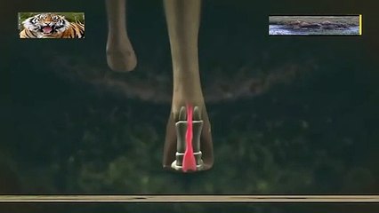 영도출장안마 -여대생！Ø1Øb2671s8135{문의톡KC456}영도전지역출장마사지영도출장안마'영도출장마사지황형'출장안마'ぇえぉ출장오피출장오피