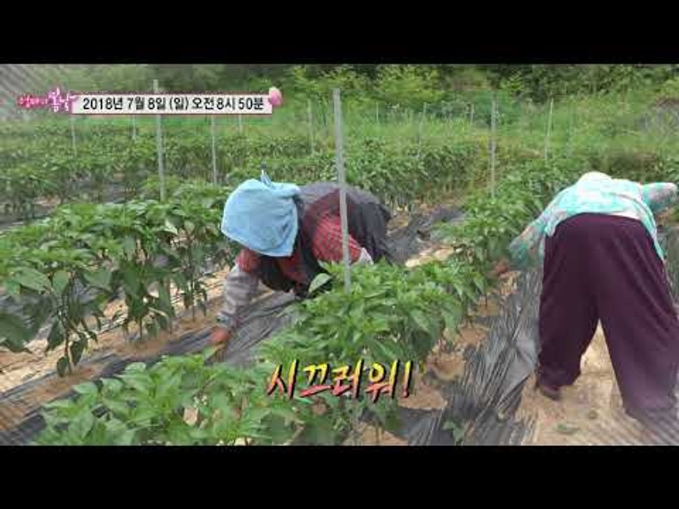 2% 부족한 고부의 사랑_엄마의 봄날 147회 예고