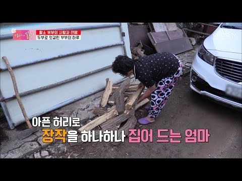 일하다 사라진 아빠?! 아픈 허리로 장작을 집어 드는 엄마 [엄마의 봄날] 155회 20180902