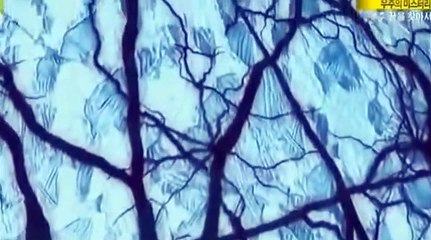 군포출장안마 -여대생！Ø7Øc7575vØØ62【문의톡OYO78】군포전지역출장마사지군포출장안마'군포출장마사지황형'출장안마'すずせ'출장마사지'콜걸'출장마사지'콜걸