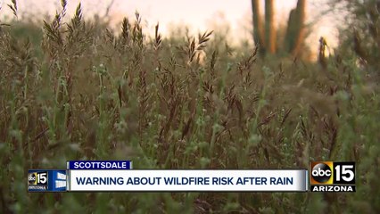Firefighters say rain a perfect storm for wildfires