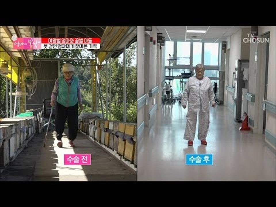 새로 찾아온 봄날~ 이젠 지팡이 없이도 잘 걷는 여왕벌 엄마! [엄마의 봄날] 158...