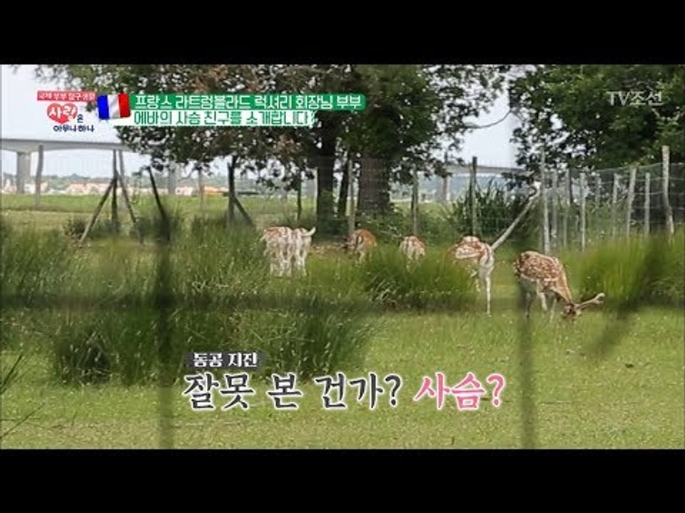 집에 사슴이?! 클래스가 다른 프랑스 럭셔리 하우스 [사랑은 아무나 하나] 45회 2...