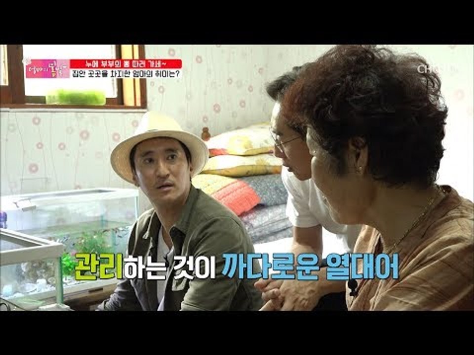 할머니가 열대어를?! 엄마의 특별한 취미들! [엄마의 봄날] 159회 20180930