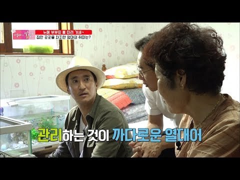 할머니가 열대어를?! 엄마의 특별한 취미들! [엄마의 봄날] 159회 20180930