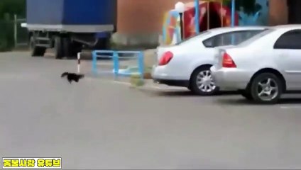 군포출장안마 -여대생！Ø7Øb7333a9649【톡문의XPF889】군포전지역출장마사지군포출장안마'군포출장마사지황형'출장안마'ЪЫЬ출장오피'출장마사지'콜걸