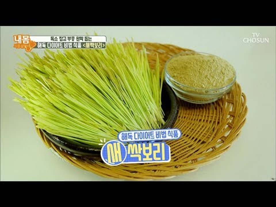 해독 다이어트 비법 식품! 독소 잡고 부종 완화 돕는 ‘새싹보리’ [내 몸 사용설명서...