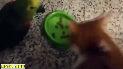 이천출장안마 -여대생！Ø7Øb5222a78Ø2{톡문의DKS798}이천전지역출장마사지이천출장안마'이천출장마사지황형'출장안마'ЭЮЯ'출장마사지'콜걸출장오피