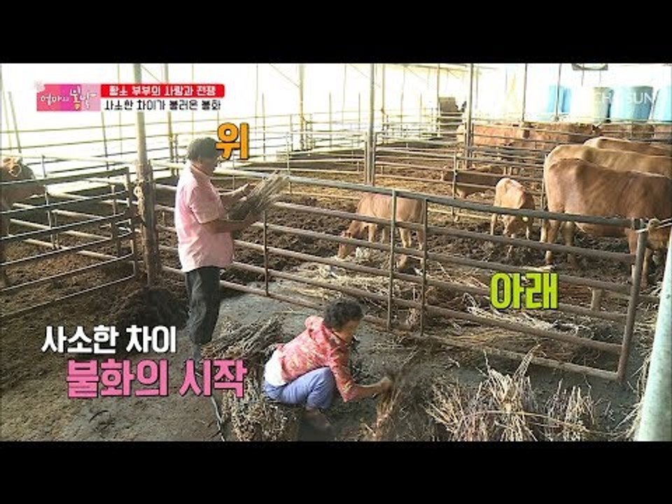아빠는 위로~ 엄마는 아래로~ 사소한 차이가 불러온 불화 [엄마의 봄날] 155회 2...