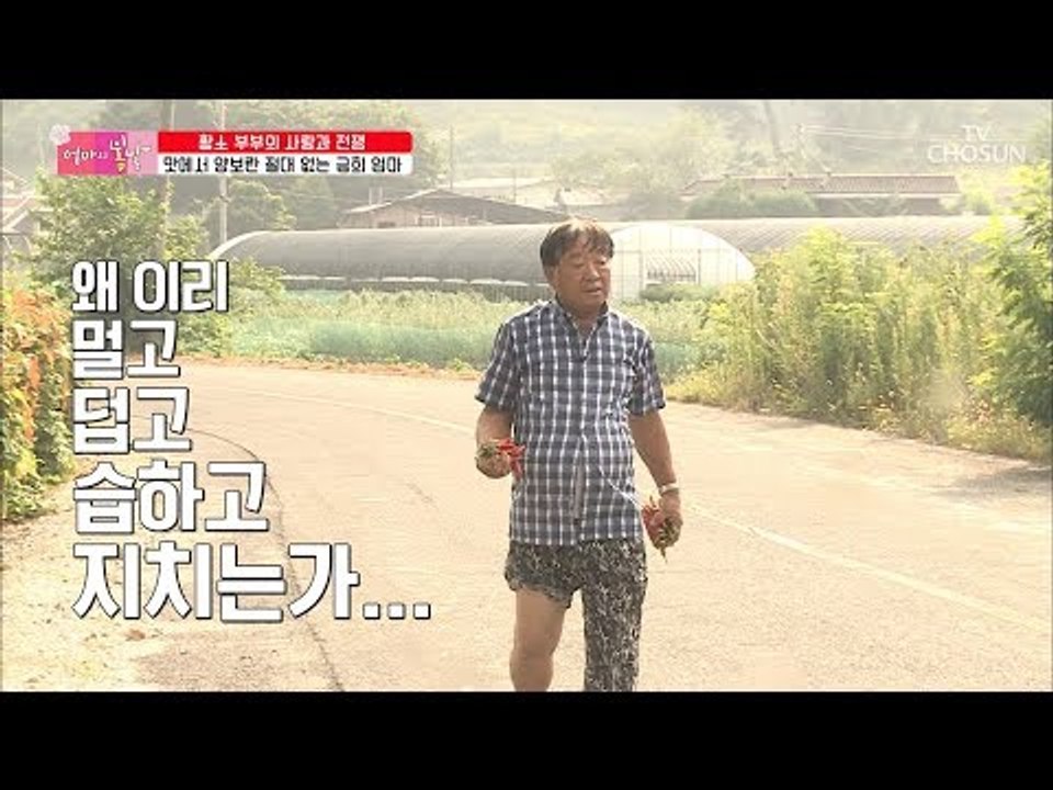 맛에서 양보란 없는 금희 엄마! 엄마의 맛을 위해 아빠가 나선다 [엄마의 봄날] 15...