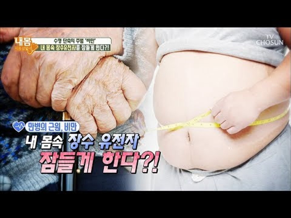 만병의 근원 비만! 내 몸속 장수 유전자 잠들게 한다?! [내 몸 사용설명서] 217...