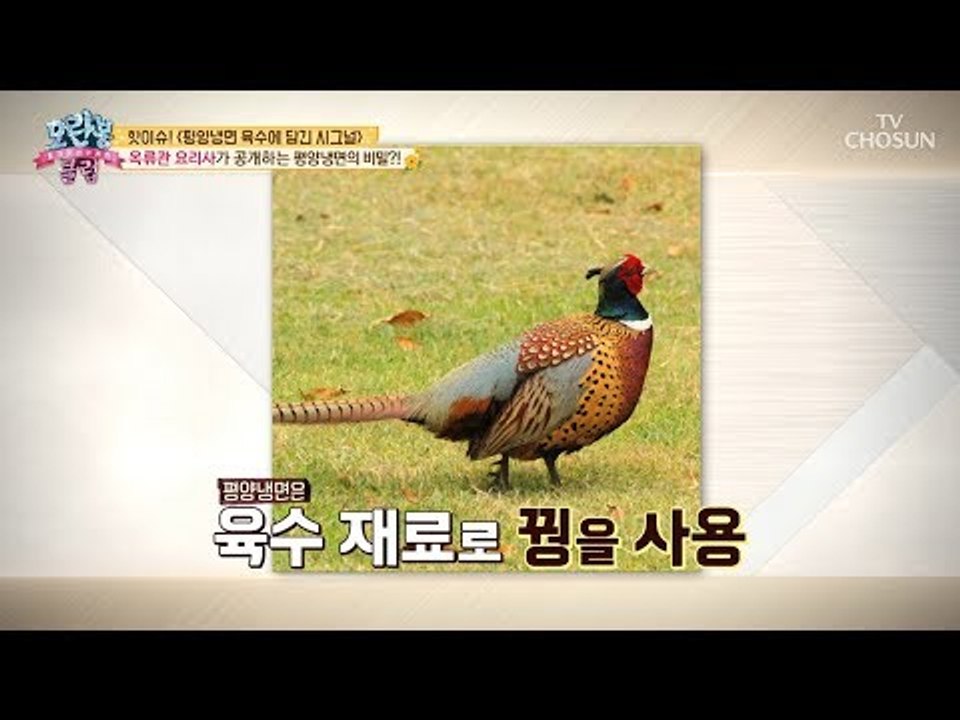[선공개] 평양냉면 육수에 ‘꿩’이 들어간다? 전격공개! [모란봉 클럽] 154회 2...