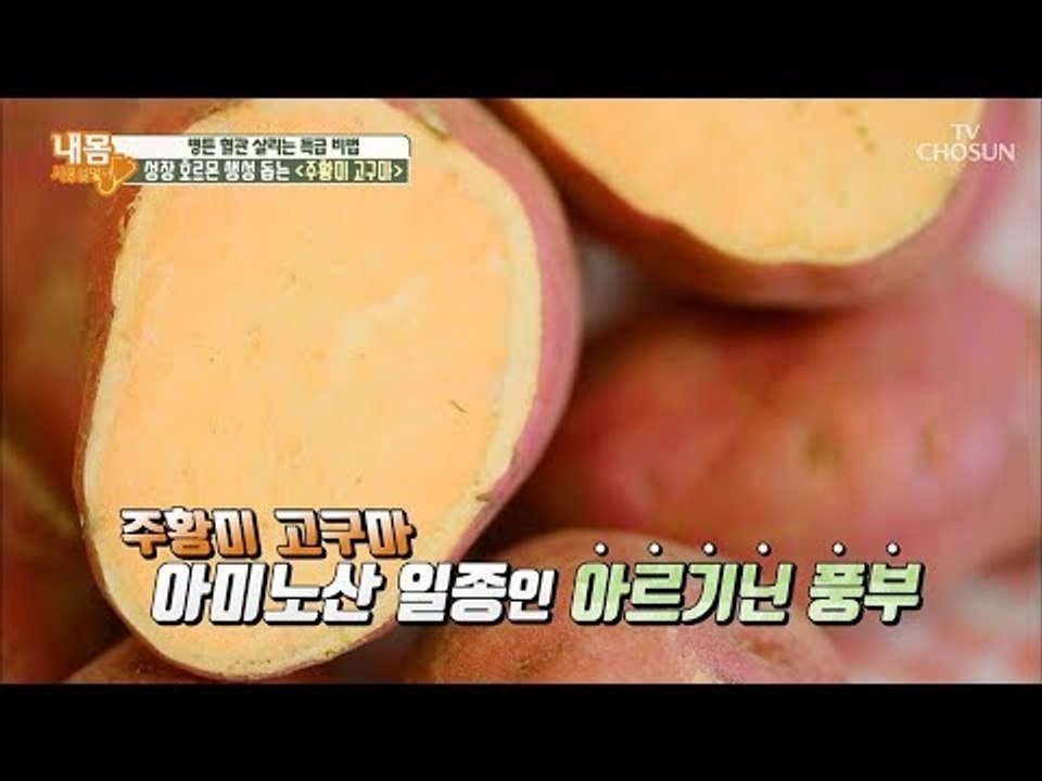 병든 혈관을 살리는 특급 식품! 어디서 많이 본 이것의 정체는?! [내 몸 사용설명서...