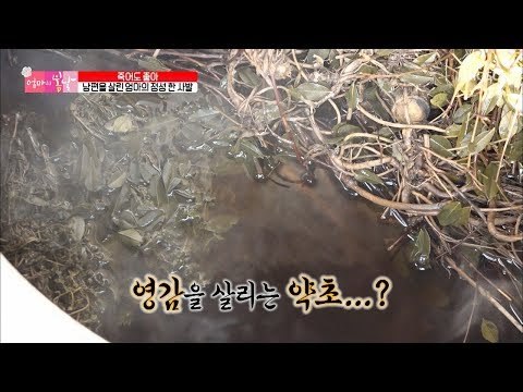영감 살리는 약초?! 남편 살린 아내의 정성 한 사발~ [엄마의 봄날] 153회 20180819
