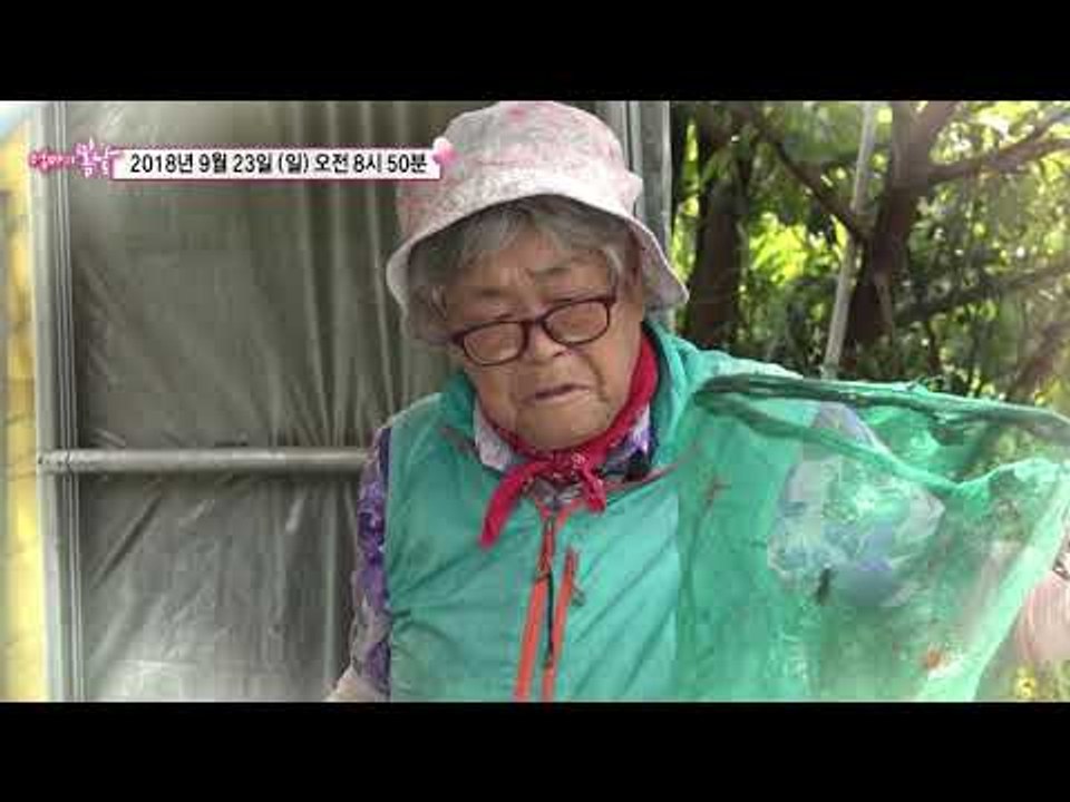 여왕벌 엄마와 꿀벌 아들_엄마의 봄날 158회 예고