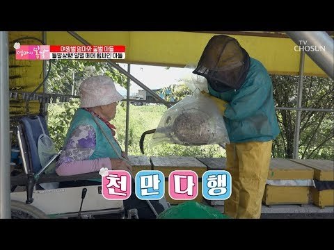 돌발상황! 성난 말벌 떼에 휩싸인 아들! [엄마의 봄날] 158회 20180923