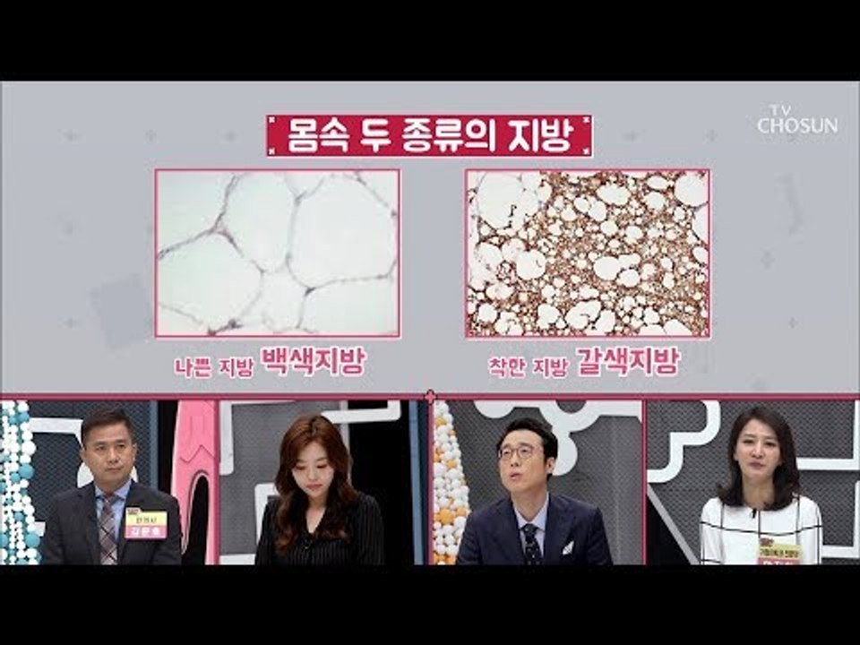 지방으로 지방을 태운다?! 나쁜 지방 없애주는 착한 갈색지방! [내 몸 플러스] 12...