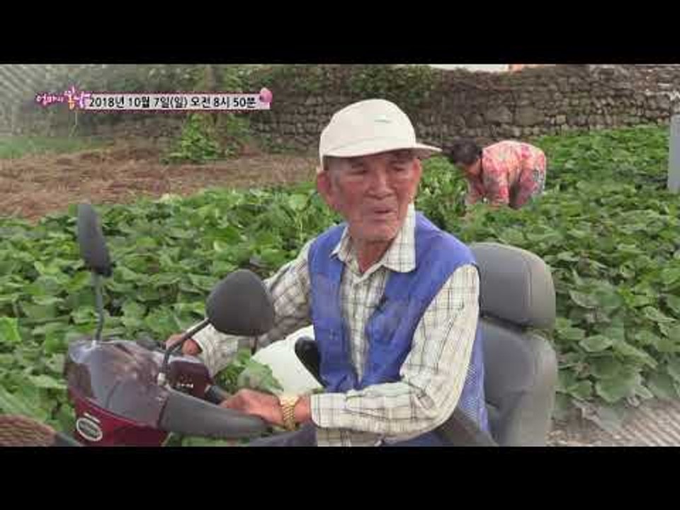 엄지 할멈과 키다리 할배의 워메, 징한 것~_엄마의 봄날 160회 예고
