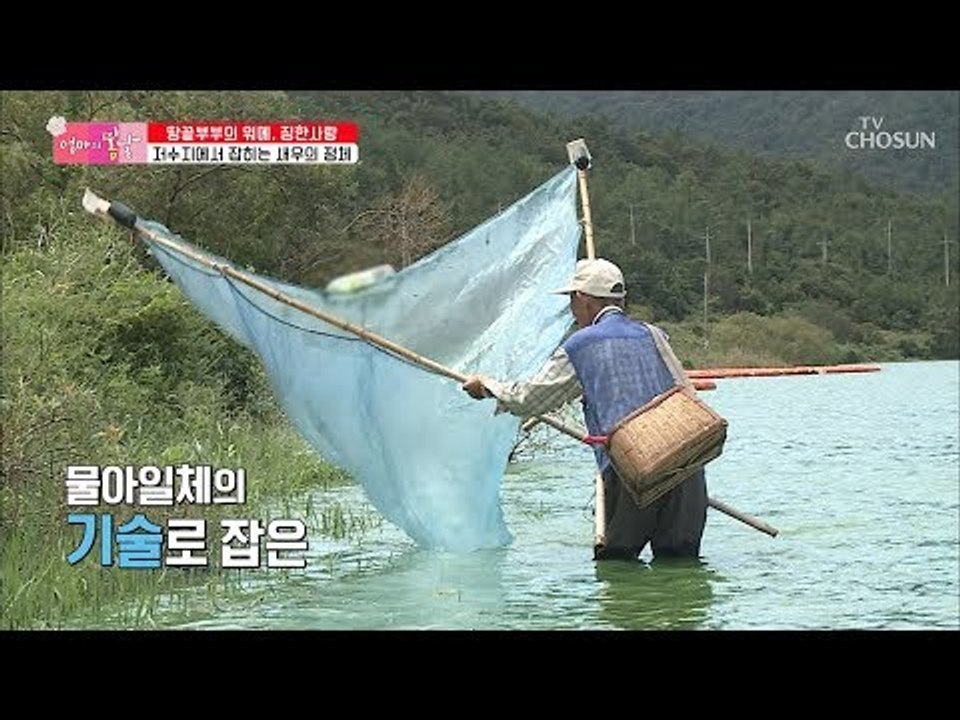 느그들이 새우 잡는 법을 아느냐~? 아빠의 물아일체 새우 잡이! [엄마의 봄날] 16...