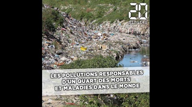 Les pollutions responsables de 25% des morts et maladies dans le monde