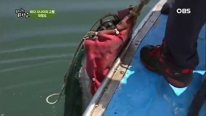 광주출장안마 -여대생！Ø7Øc5222a78Ø2{톡문의DKS798}광주전지역출장마사지광주출장안마'광주출장마사지황형'출장안마'ŁØŒ출장오피출장오피