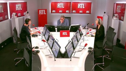 Un labrador engagé pour rassurer les enfants au tribunal