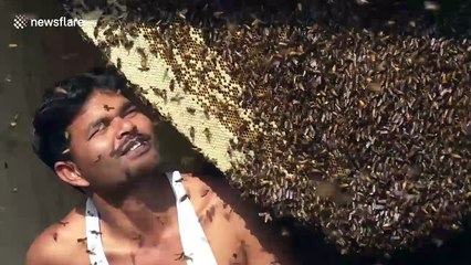Indian honey collector stuffs mouth with live bees